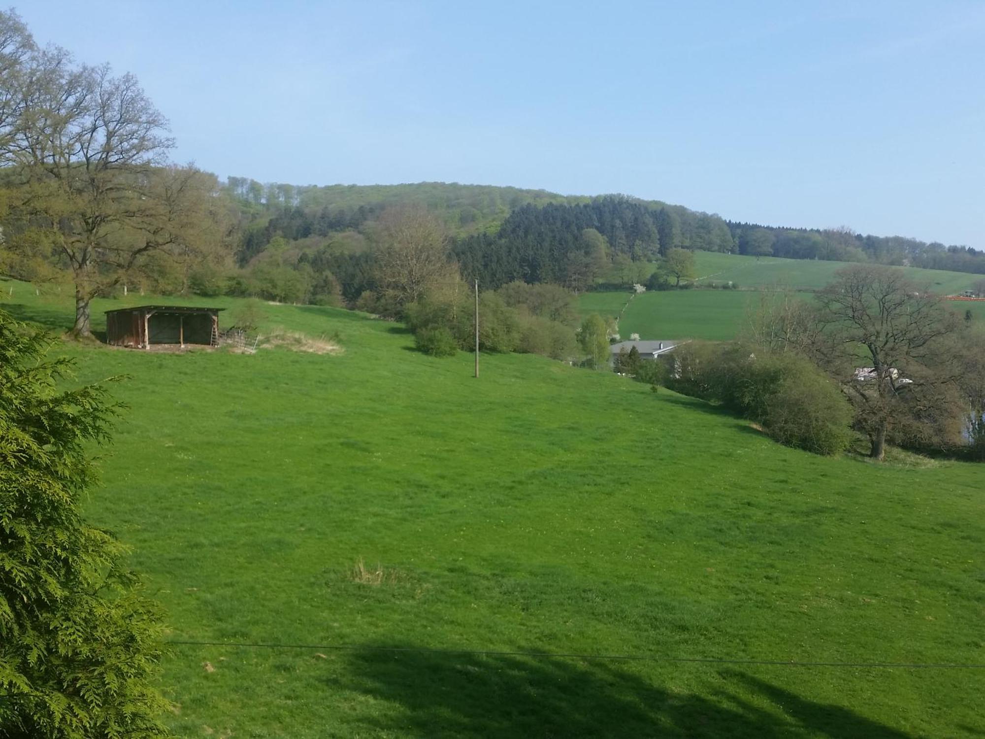 Fewo Am Wald Balve الغرفة الصورة