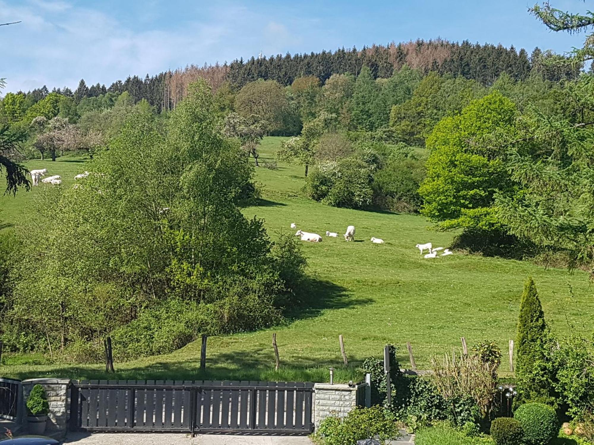 Fewo Am Wald Balve الغرفة الصورة